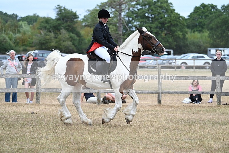 WJ7_1377 - Class 8 Ridden Veterans