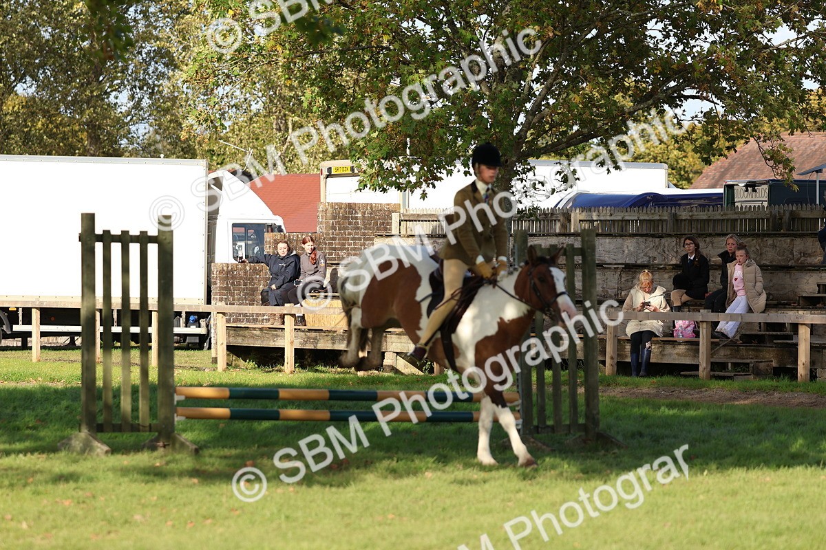 SBM_52508 - S13 - Pony Club Pony