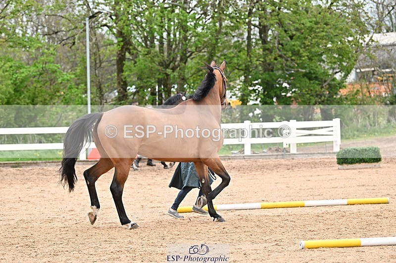 250423-161018-02005 - 4pm to 5pm