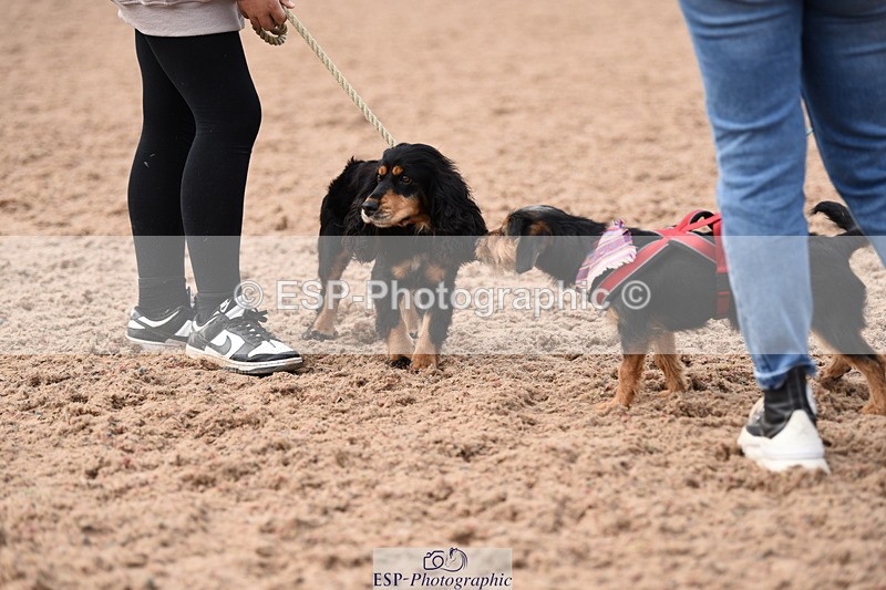 240518A-114218-00809 - Cls 2 Prettist Bitch