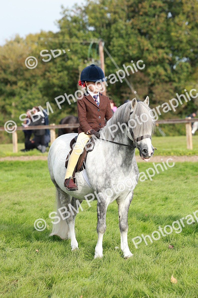 SBM_56435 - S39 - Starters In Hand Showing