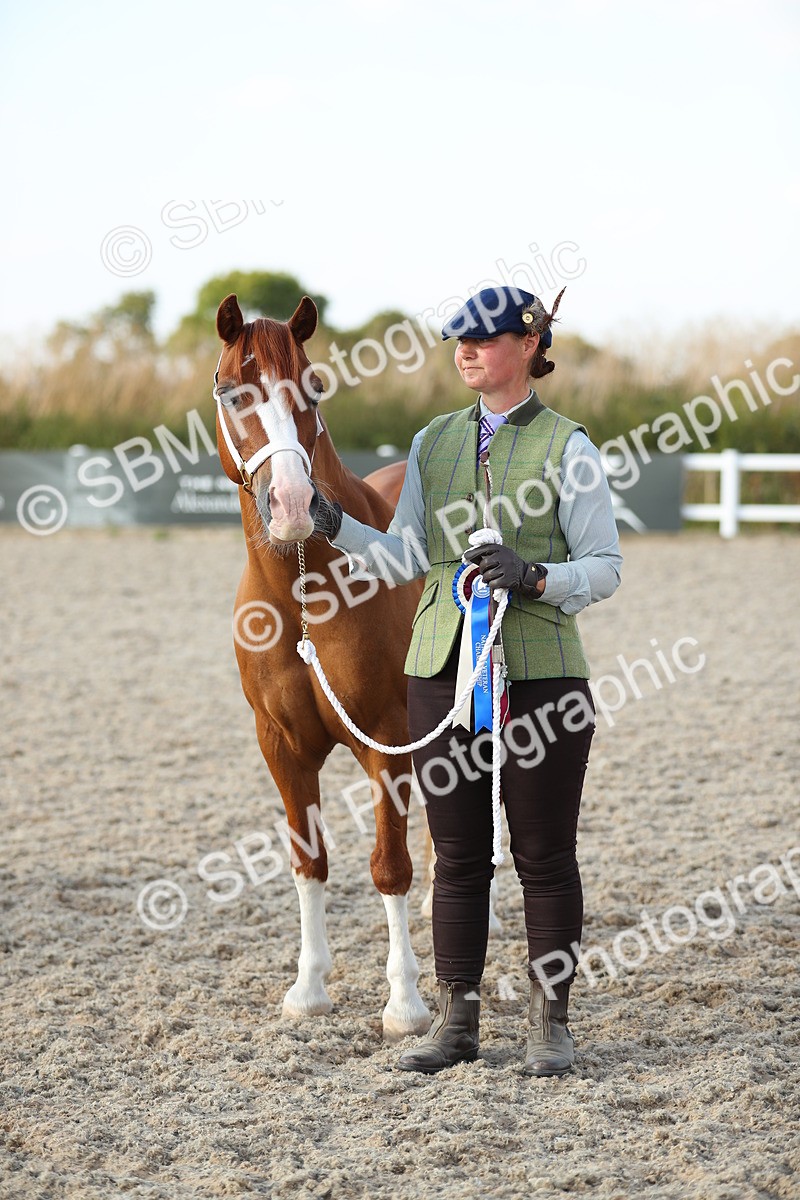 SBM_09092 - Class 29 IH Veteran Pony