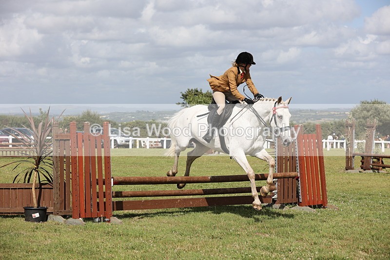 JPP_2490 - Class 20: Working Hunter 70cm