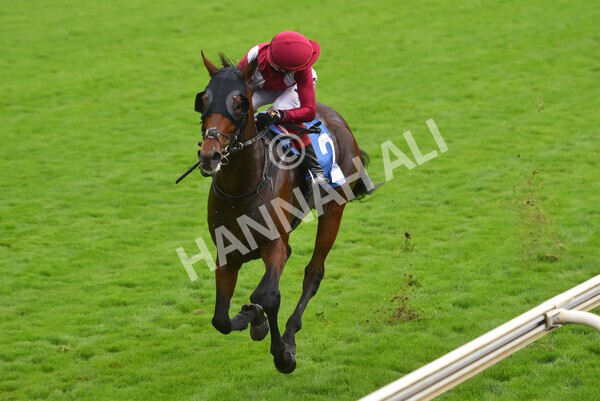 yr24092021r5-28 - Race 5 3.50pm William Hill Leading On Course Bookmaker Stakes