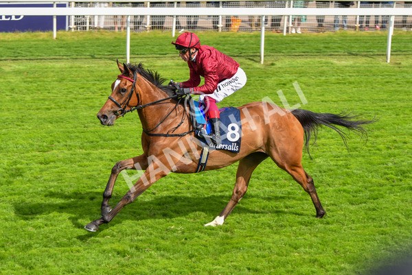 170523-Race 4-Soul Sister-8763 - Race 4 3.35pm Tattersalls Musidora Stakes