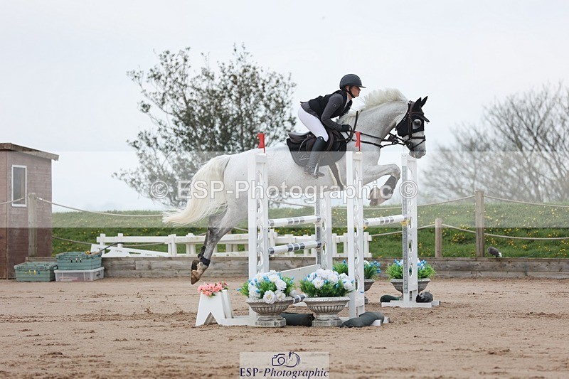 250424-091046-02599 - Cls 29 Young Horse 6yr old