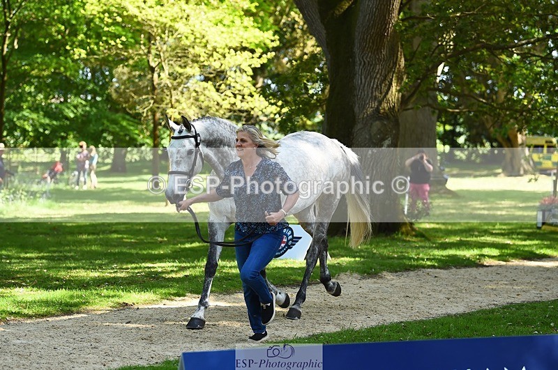 230524-153720-00394 - 366-KILMINGTON_FOLLY-Kristina_Cook-WEDTrotUp+DR