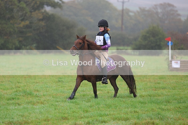 3E7A0764 - Class 1: 65cm: Rails