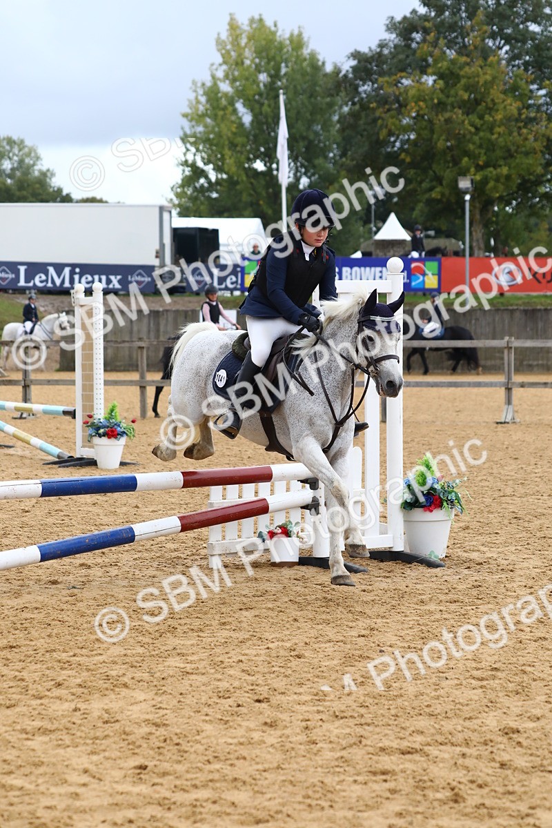 SBM_62340 - J64 - Junior Pony 60cm Championship