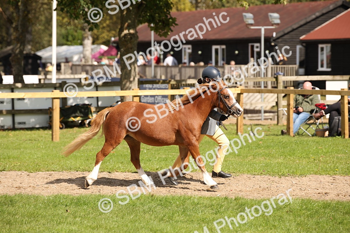 SBM_44401 - S24 - Young Veteran in hand