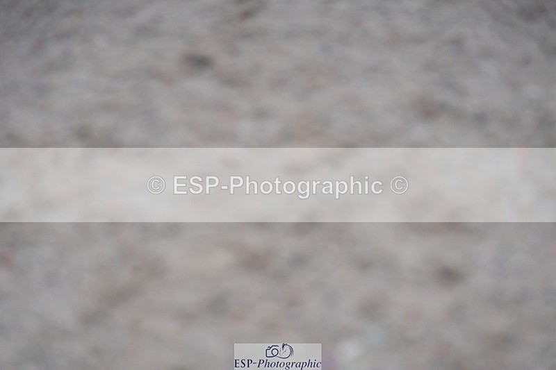 231017A-124920-06897 - Cls 27 Snr Newcomers