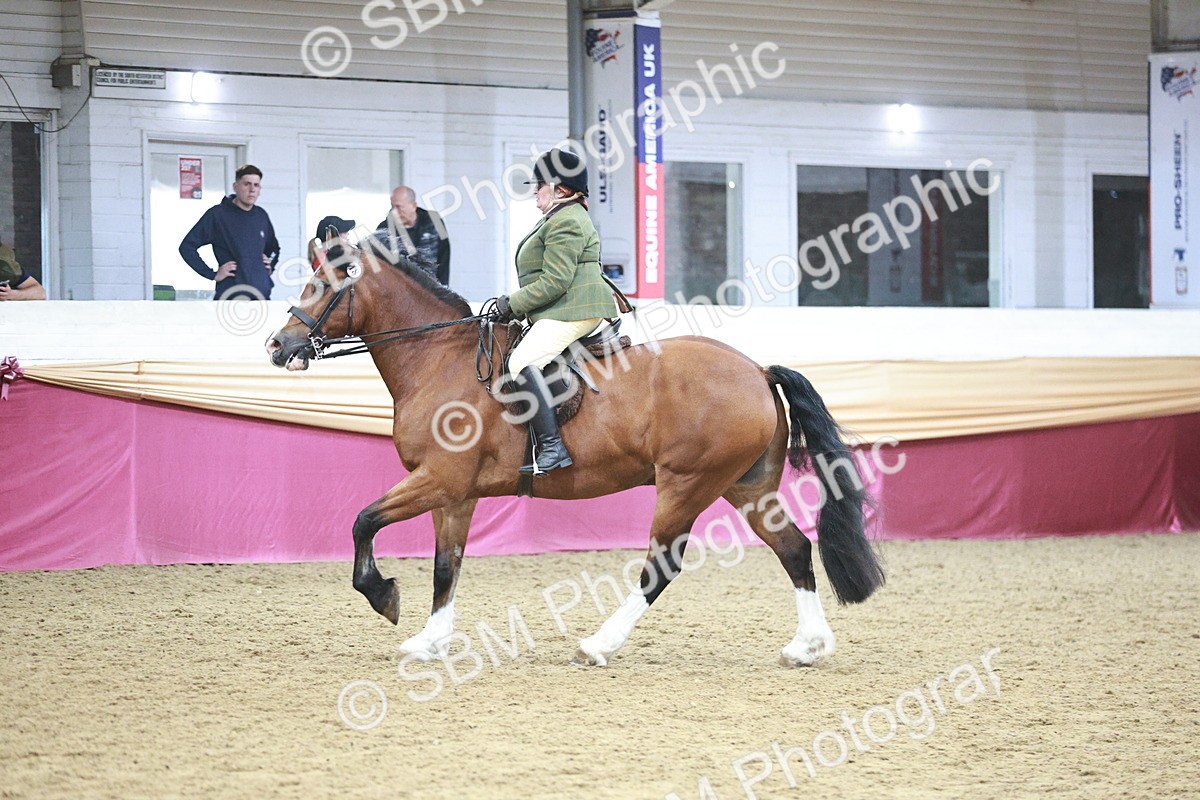 SBM_08949 - Class 12R - Regional Ridden Pre-Vet
