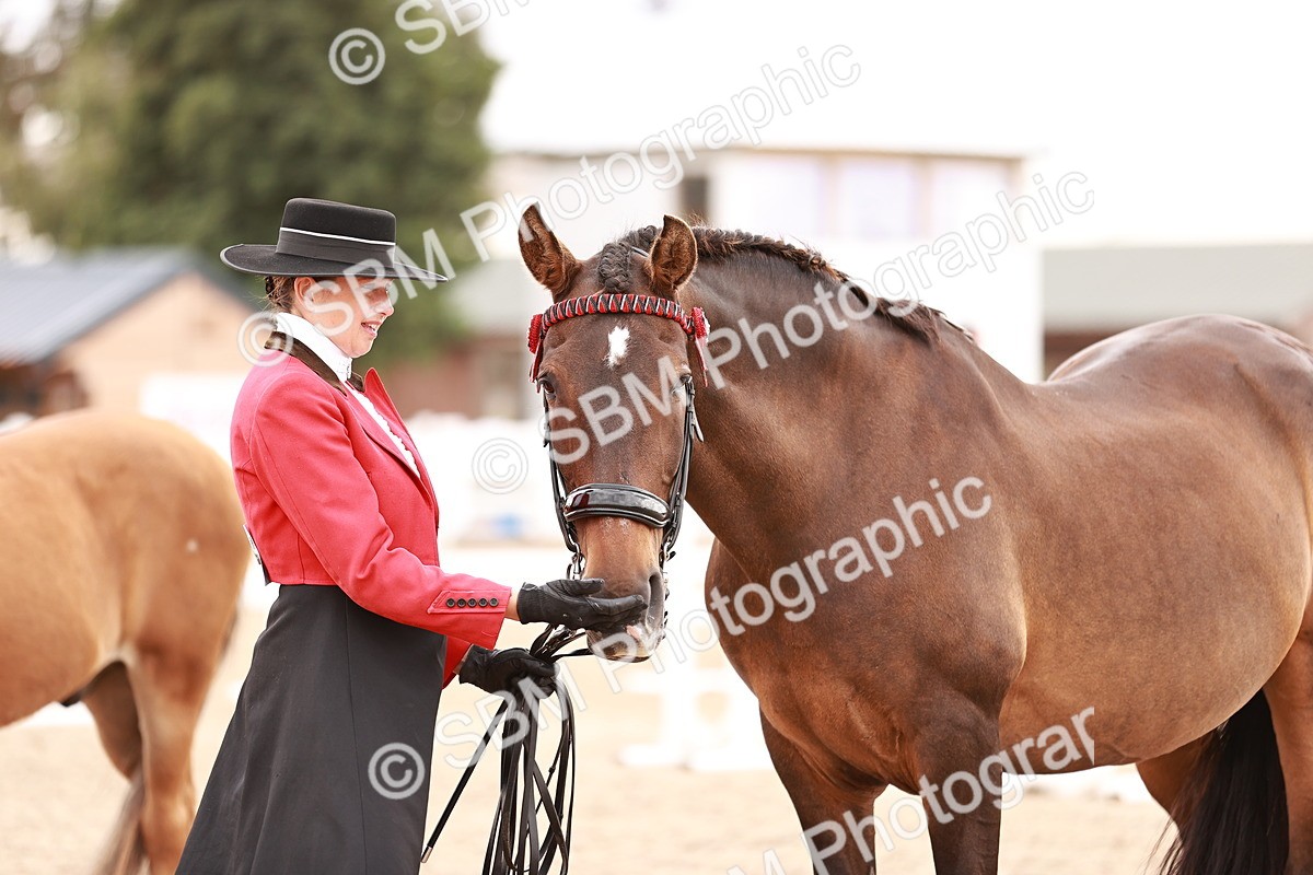 SBM_16925 - Class 415 - Horse-Pony Judge would most like to take home