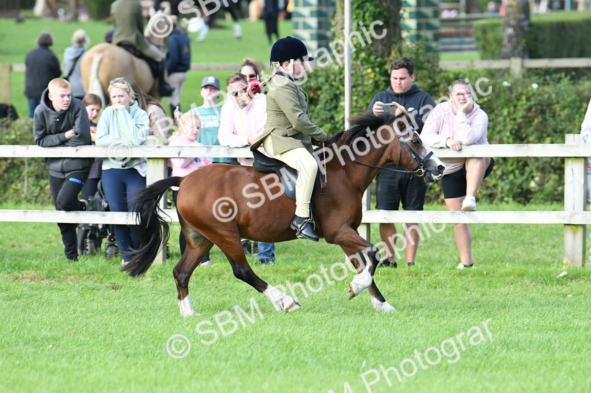 SBM_51878 - S21 - Novice & Newcomers 1st Ridden Pony