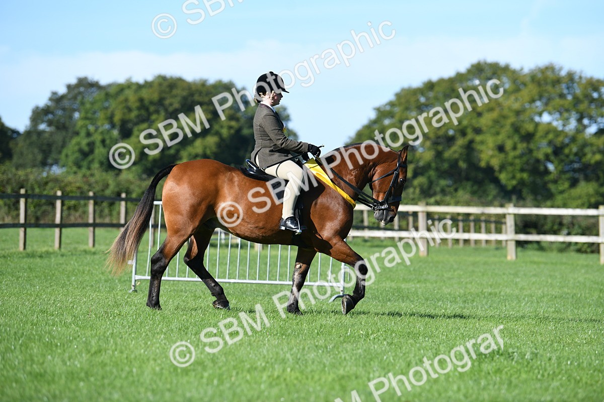 SBM_35569 - Top Turnout Supreme Championship