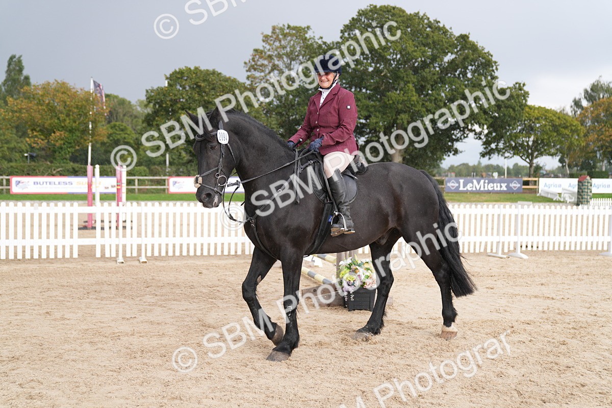 SBM_10427 - J37 Veteran 75cm Championship