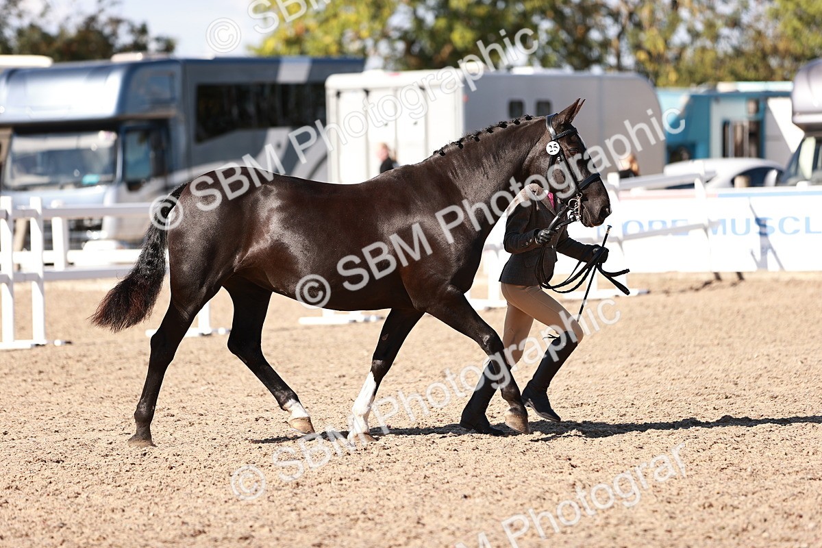 SBM_13302 - class 406 - IH Hunter