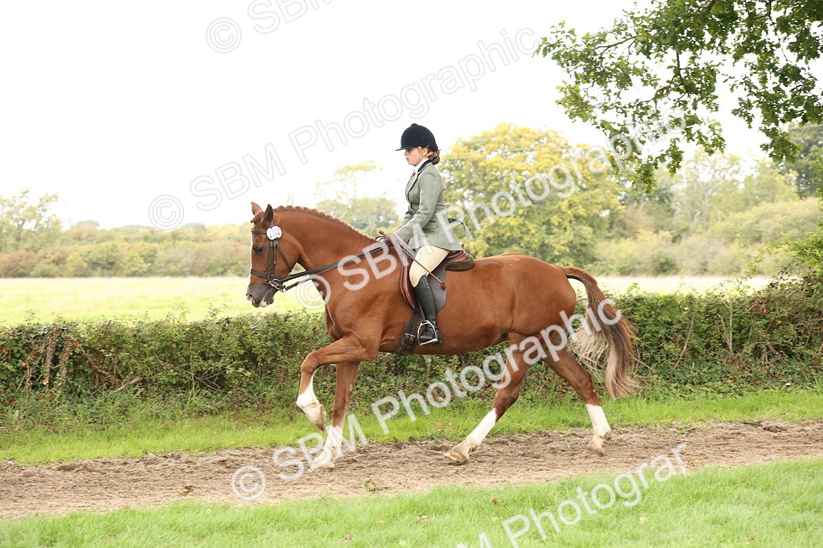 SBM_66346 - S66 - Hunter Ridden