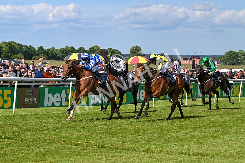 080624-Race 7-This Years Love-2051 - Race 7