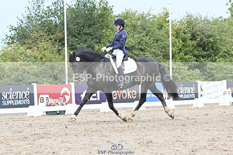 250907-113753-06725 - 030-Rebecca.Ezra.-.HamMaesmynach.Mr.Sam