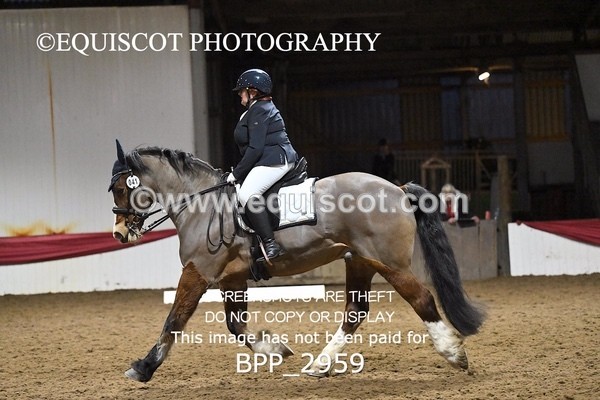 BPP_2959 - ELEM TEST 4