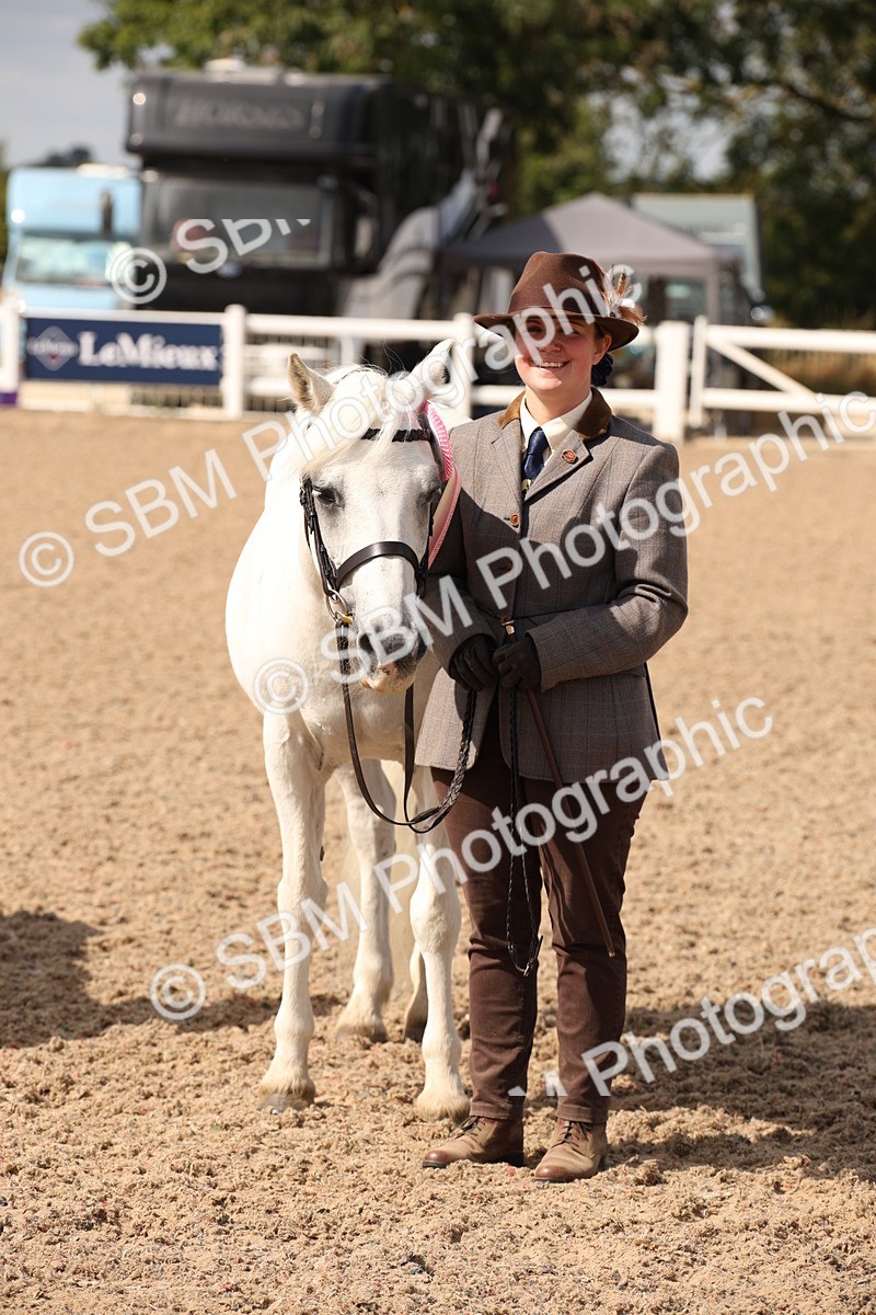 SBM_03798 - Class 19 Judge's Favourite