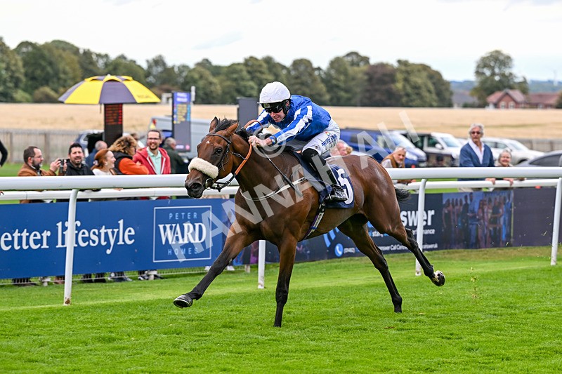 170925-Race 2-Lady Youmzain-4092 - Race 2
