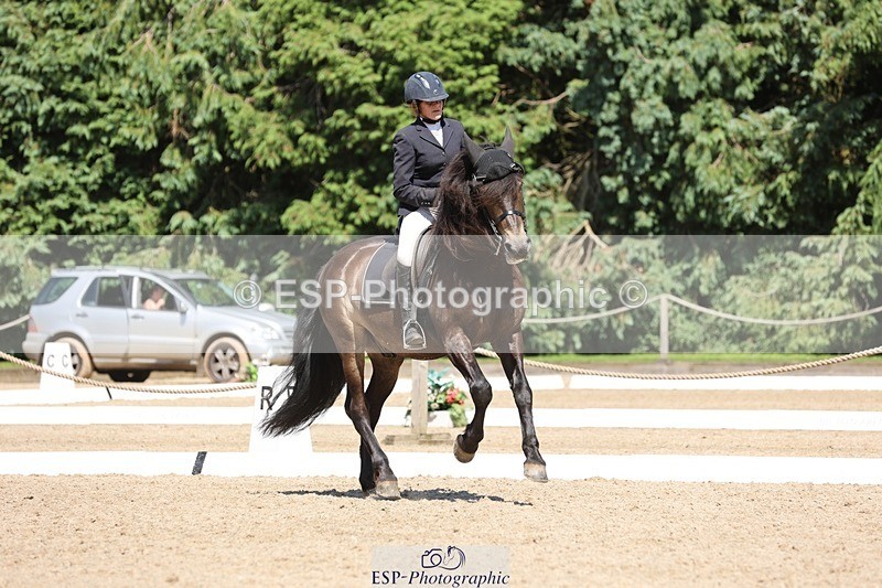 240719-151715-02800 - 224-Deborah_Randall-Esplendido