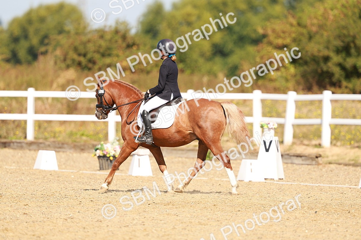 SBM_017564 - Class 9 - N5 Bronze 10.33.11.36