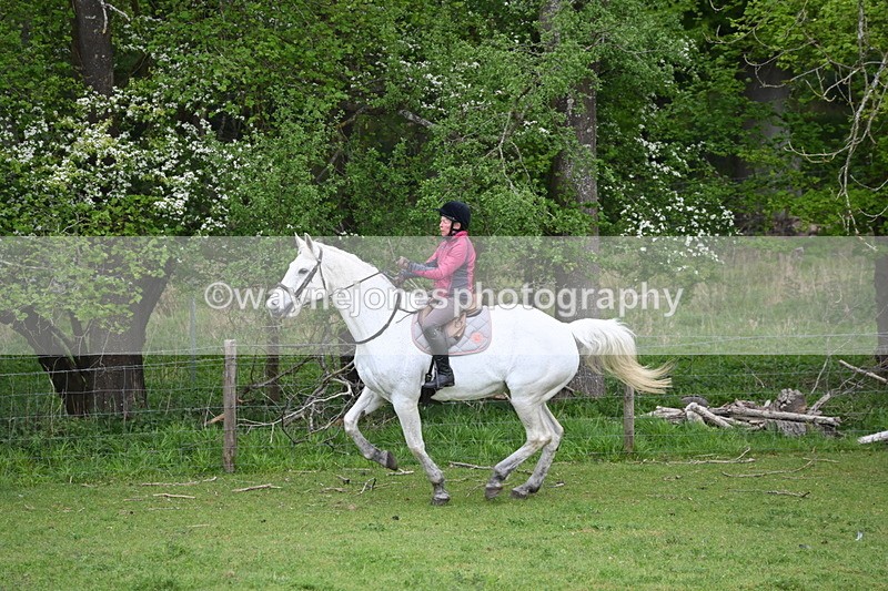 WJ6_3159 - A camera