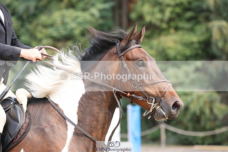 250816A-124447-01537 - Cls 5 Snr Discovery