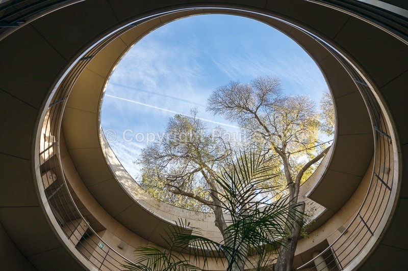 An original photograph by Paul Sandy - paulsandy.co.uk - Recent