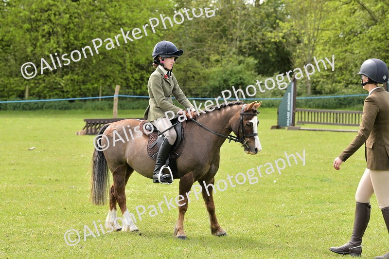 20260426-2381 - Class 21 - Working Hunter Ponies