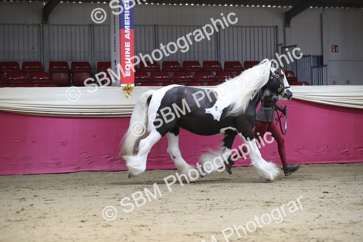 SBM_01318 - Class 3a Area IH Pre Vet