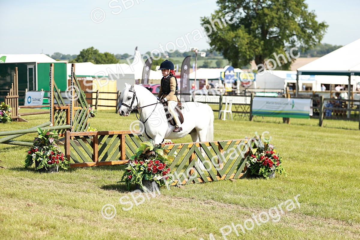 SBM_12747 - Class 106-107 - BSPS LIHS Working Sports Pony