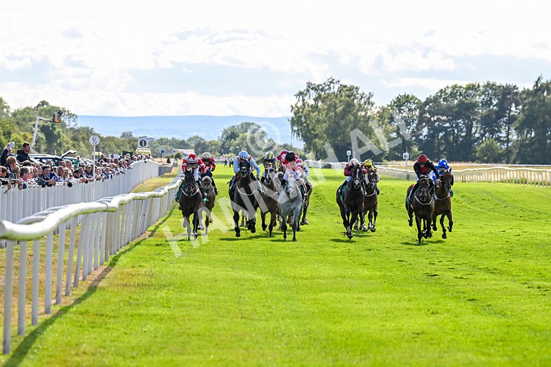020725-Race 7-Manila Scouse-3204 - Race 7
