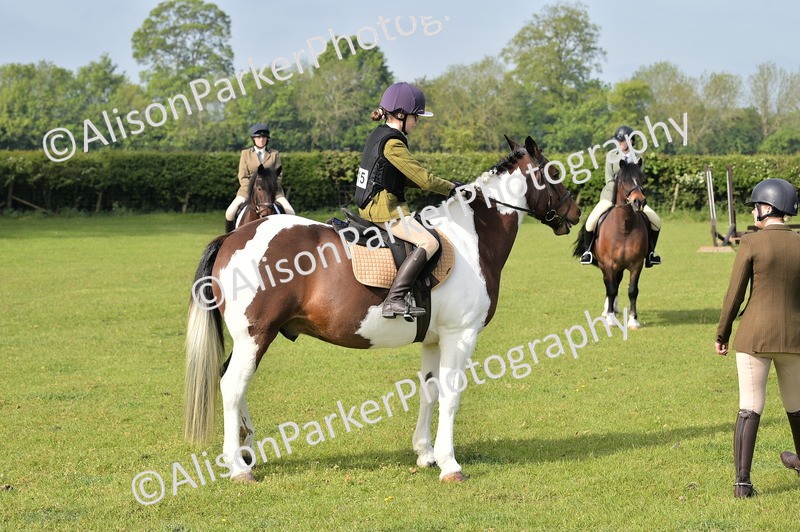 20260426-0902 - Class 18 - Novice Showing