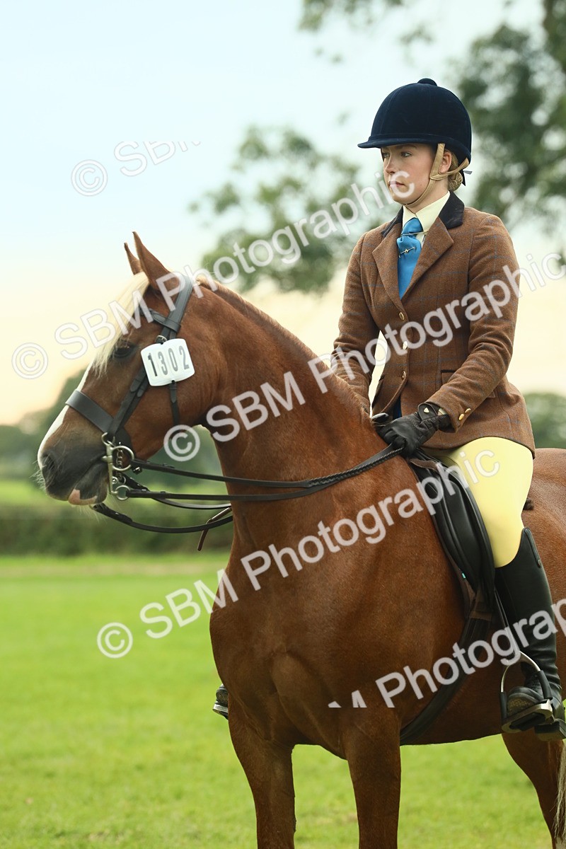 SBM_72252 - S60 - Mountain & Moorland Ridden Large Breeds