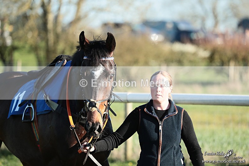 PtP 210326 1156 - VWH Cirencester Races 21/03/26