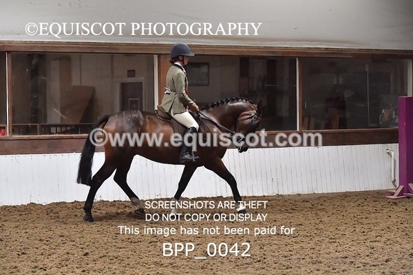 BPP_0042 - RING 1
