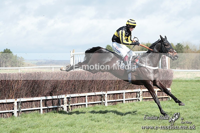 PtP 230324 281 - Tedworth Hunt PtP Larkhill Raccourse 23rd March 2024