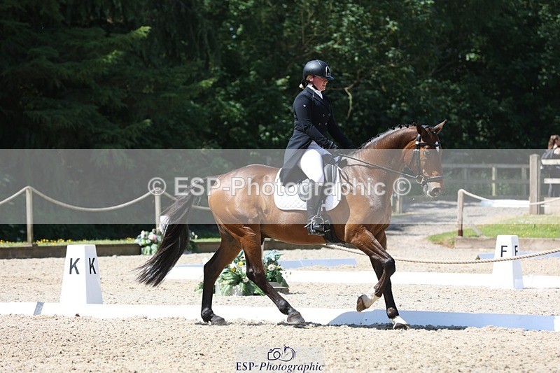230526-114110-06092 - 154-GELUK_G-Molly_Adams-WEDTrotUp+DR