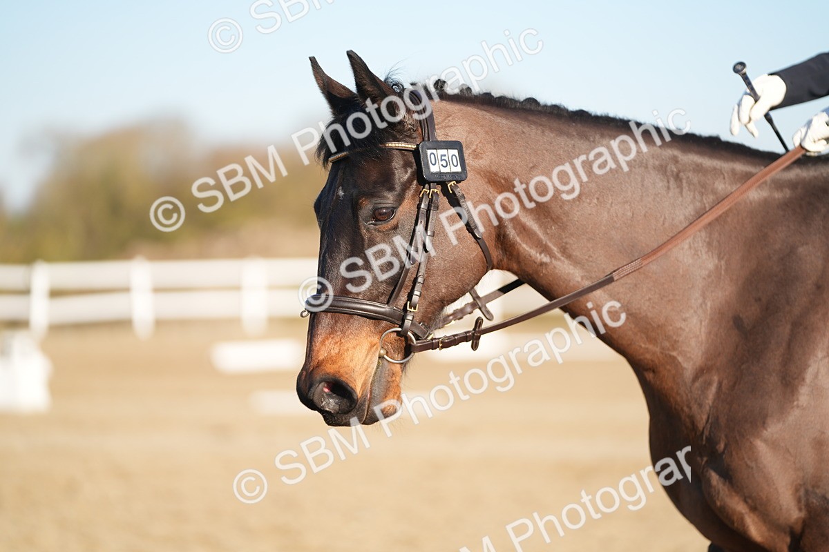 SBM_005714 - Class 6 - E1-80cm