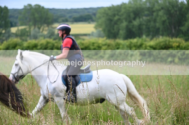WJ6_8136 - Camera 1 Gallops