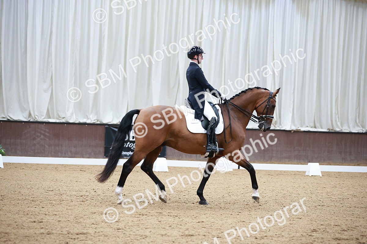 SBM_008726 - Class 14 - FEI PSG - 9.30-10.30