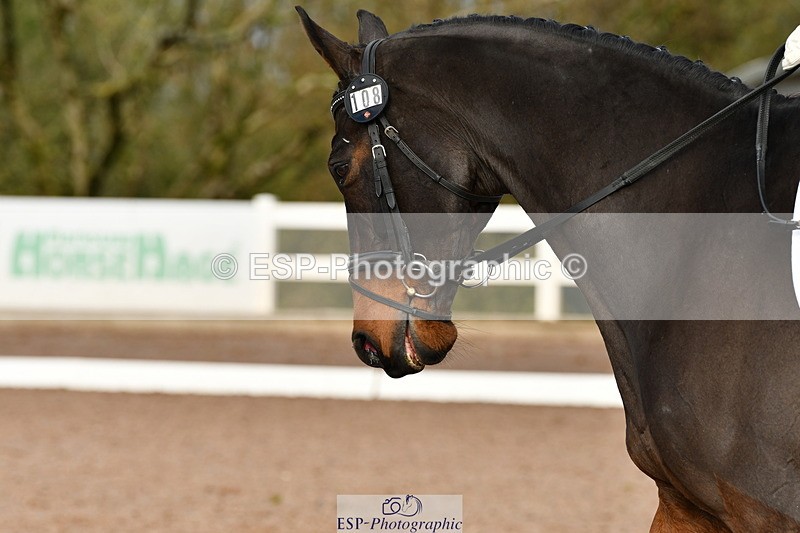 231104A-112850-00219 - Cls 7 Elementary 43