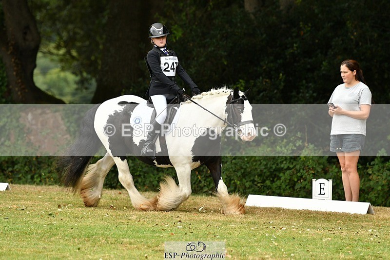 250820A-122602-05600 - 12 to 13.00