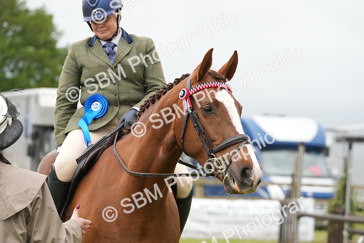 SBM_10650 - Class 97-98 - LIHS BSHA Rising Star Working Show Horse Hunter