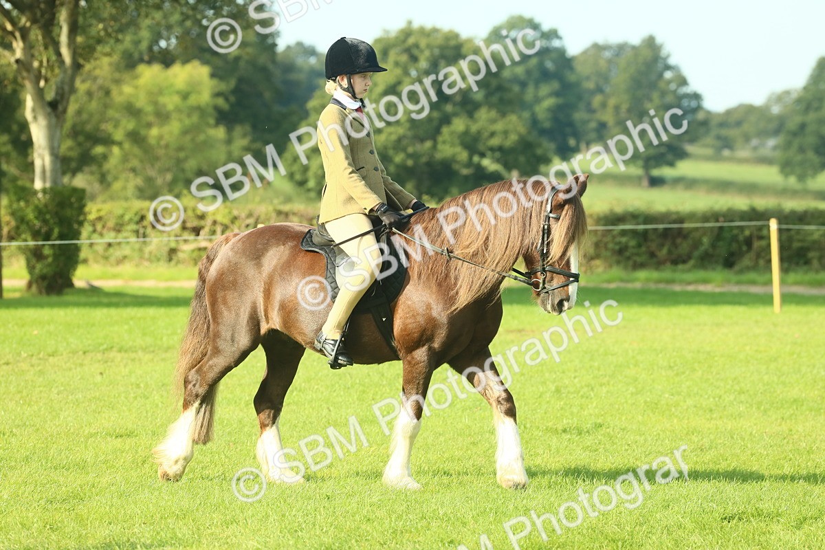 SBM_59313 - S38 - Starters Ridden Showing