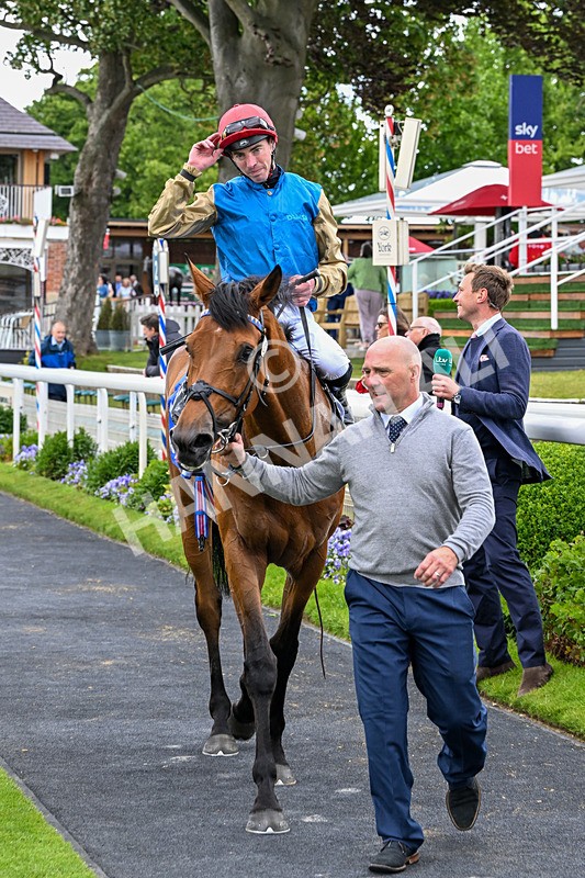 130626-Race 3-Gregory-1089 - Race 3 15.00pm Sky Bet Race To The Ebor Grand Cup Stakes